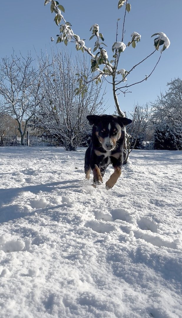 Schnee in Ostfriesland - Bild 88