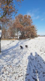 Schnee in Ostfriesland - Bild 91