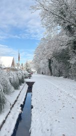 Schnee in Ostfriesland - Bild 100