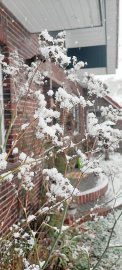 Schnee in Ostfriesland - Bild 102