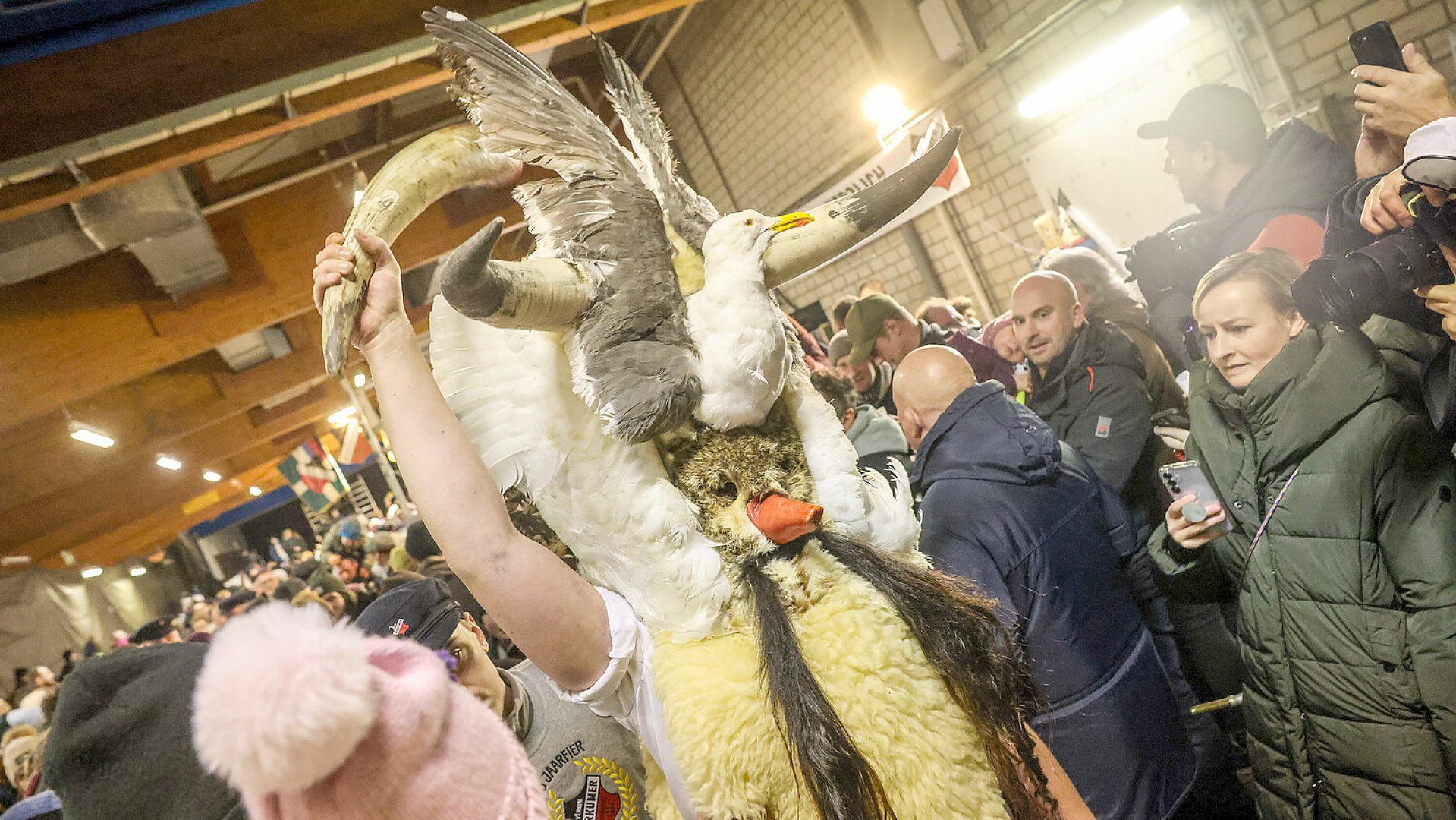 Klaasohm 2025 – Die Bilder (1) - Bild 1