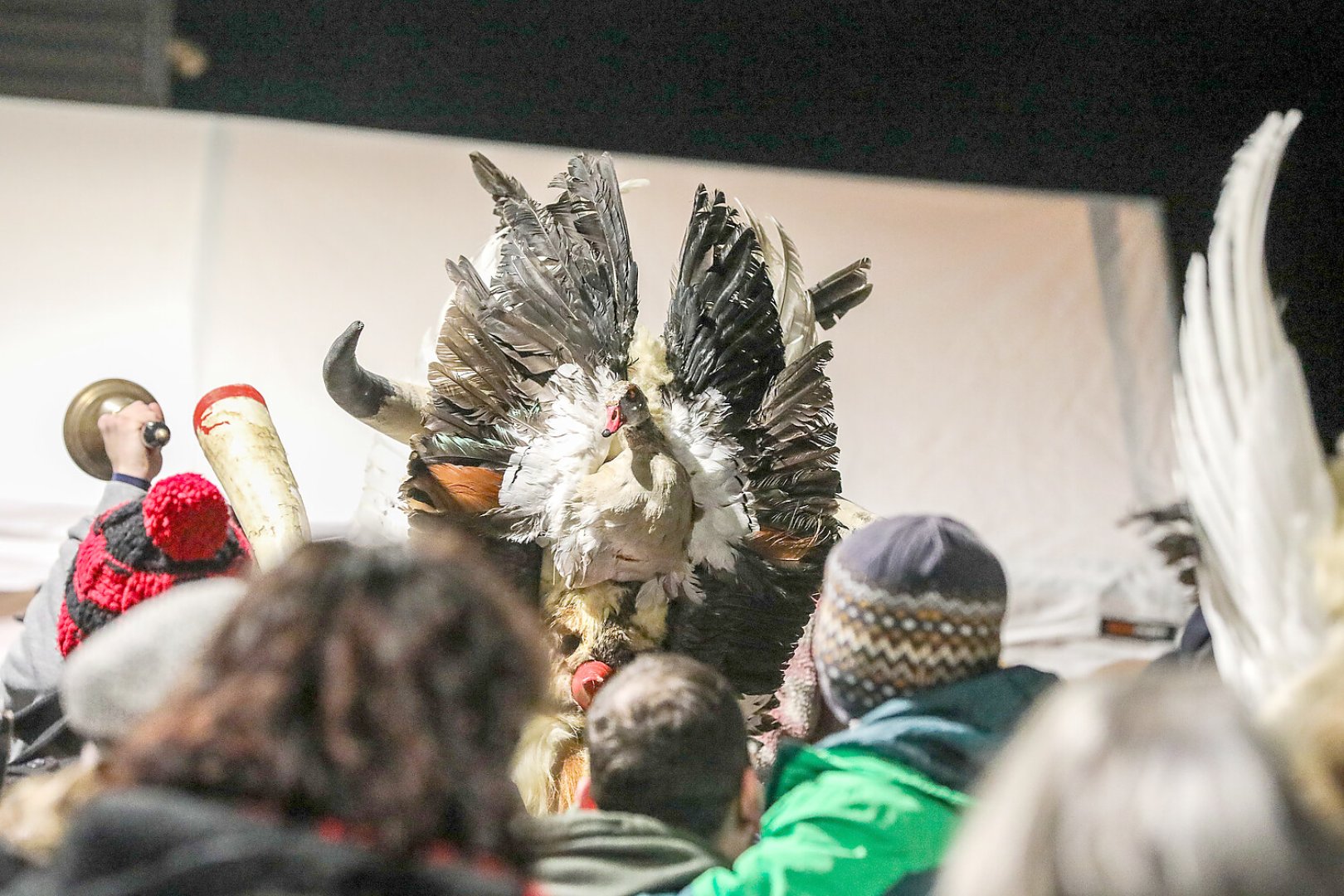 Klaasohm 2025 - Die Bilder (2) - Bild 1