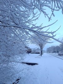 Schnee in Ostfriesland (Leserfotos, Teil 1) - Bild 8