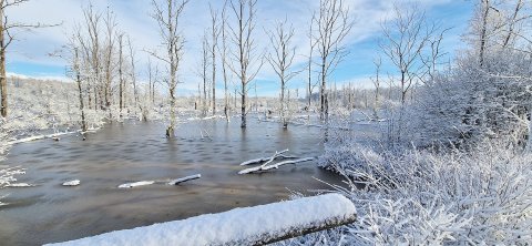 Schnee in Ostfriesland (Leserfotos, Teil 1) - Bild 16