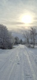 Schnee in Ostfriesland (Leserfotos, Teil 1) - Bild 23