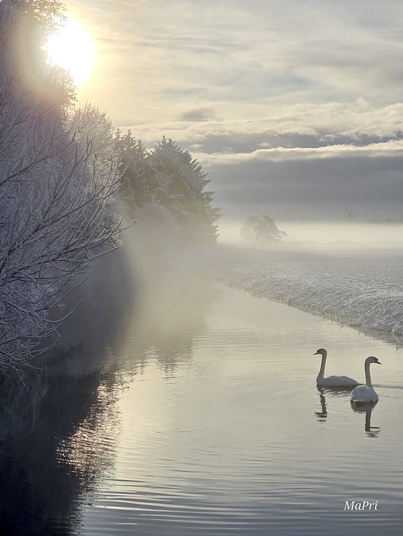 Schnee in Ostfriesland (Leserfotos, Teil 1) - Bild 43