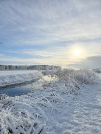 Schnee in Ostfriesland (Leserfotos, Teil 1) - Bild 44