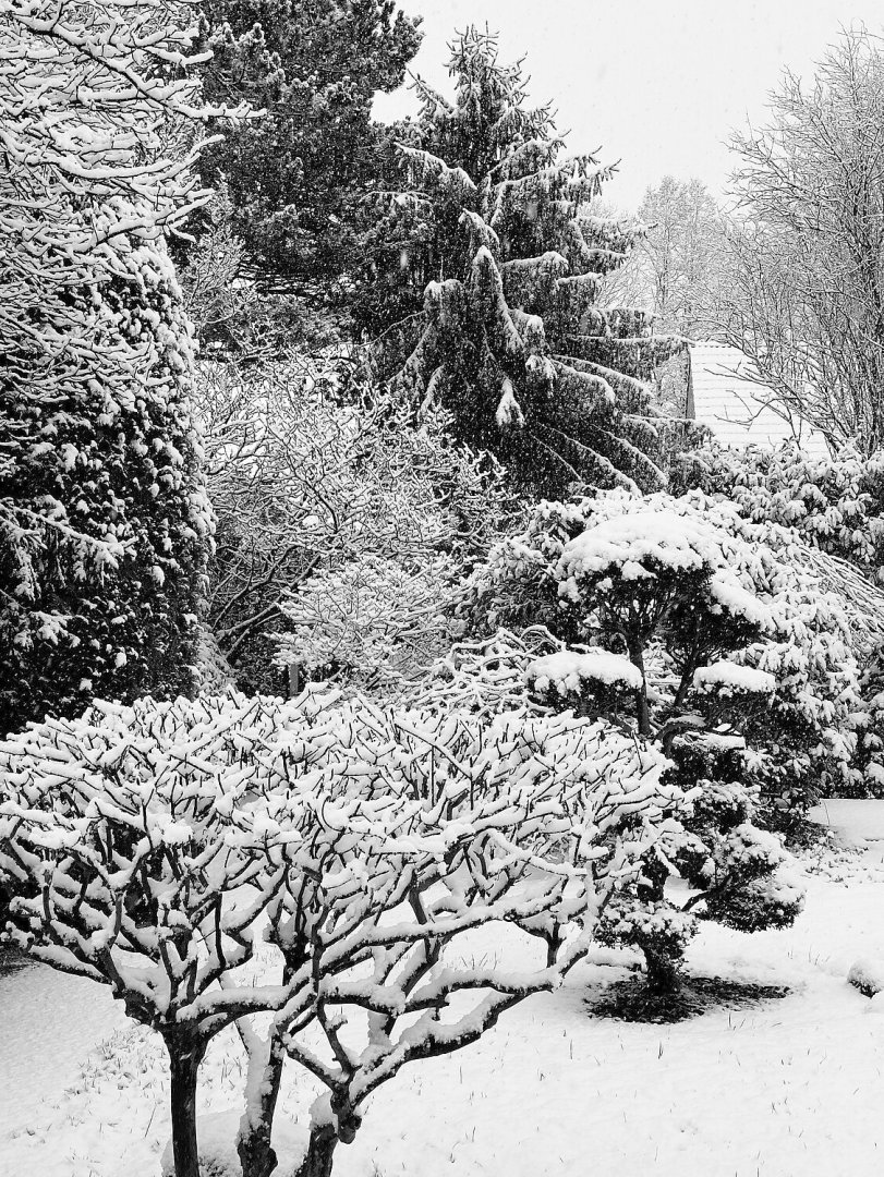 Schnee in Ostfriesland (Leserfotos, Teil 1) - Bild 49