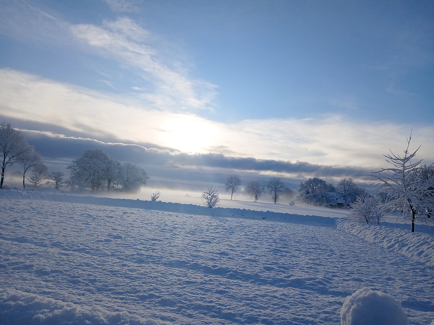 Schnee in Ostfriesland (Leserfotos, Teil 1) - Bild 52