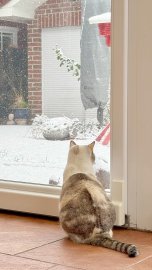 Schnee in Ostfriesland (Leserfotos, Teil 1) - Bild 59