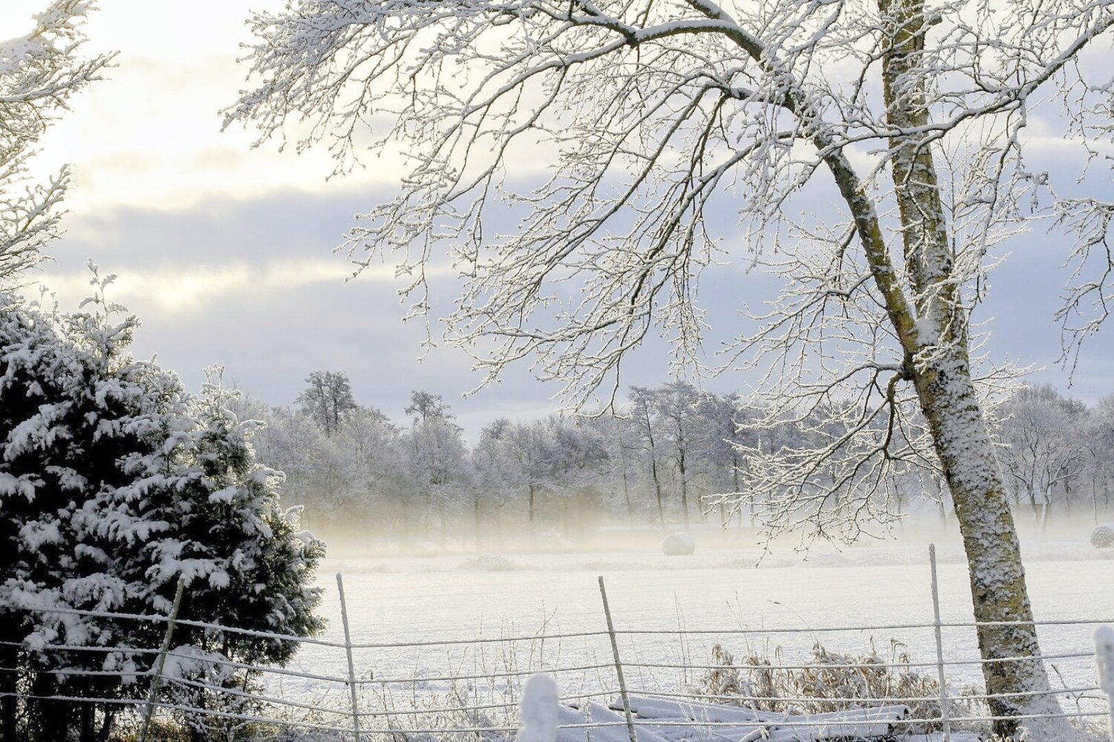 Schnee in Ostfriesland (Leserfotos, Teil 1) - Bild 73
