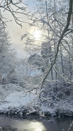 Schnee in Ostfriesland (Leserfotos, Teil 2) - Bild 9