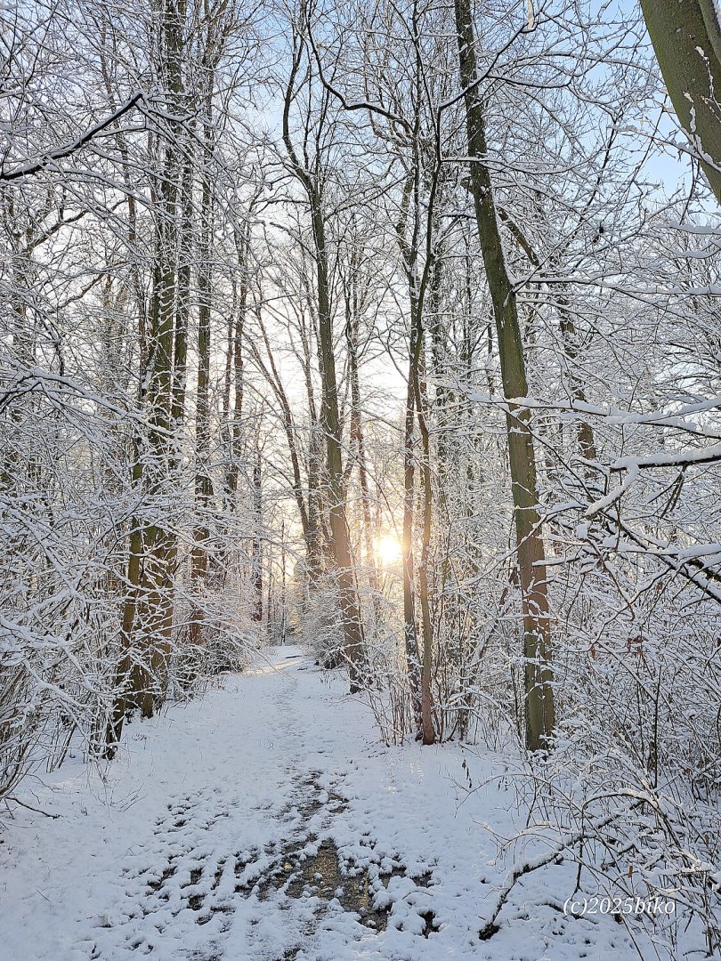 Schnee in Ostfriesland (Leserfotos, Teil 2) - Bild 38