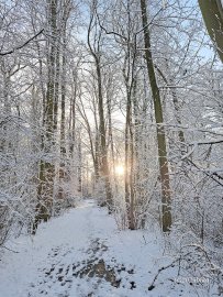 Schnee in Ostfriesland (Leserfotos, Teil 2) - Bild 38