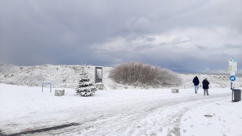 Schnee in Ostfriesland (Leserfotos, Teil 2) - Bild 40