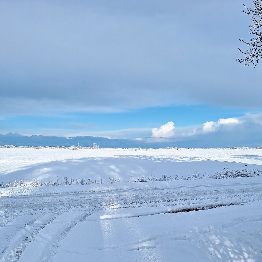 Schnee in Ostfriesland (Leserfotos, Teil 2) - Bild 51