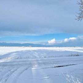 Schnee in Ostfriesland (Leserfotos, Teil 2) - Bild 51