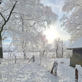 Schnee in Ostfriesland (Leserfotos, Teil 2) - Bild 53