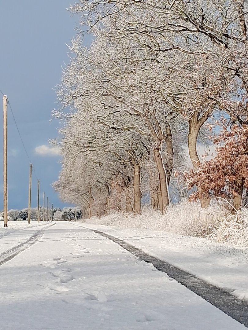 Schnee in Ostfriesland (Leserfotos, Teil 2) - Bild 58