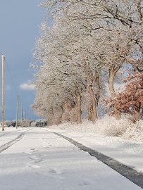 Schnee in Ostfriesland (Leserfotos, Teil 2) - Bild 58