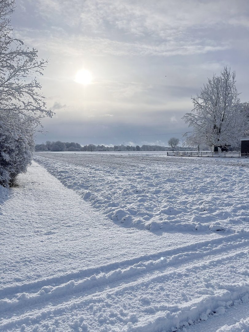 Schnee in Ostfriesland (Leserfotos, Teil 2) - Bild 60