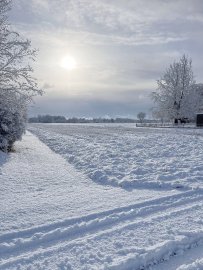 Schnee in Ostfriesland (Leserfotos, Teil 2) - Bild 60