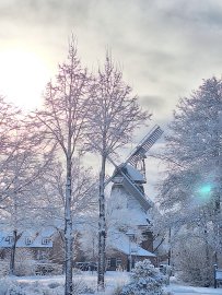 Schnee in Ostfriesland (Leserfotos, Teil 2) - Bild 71