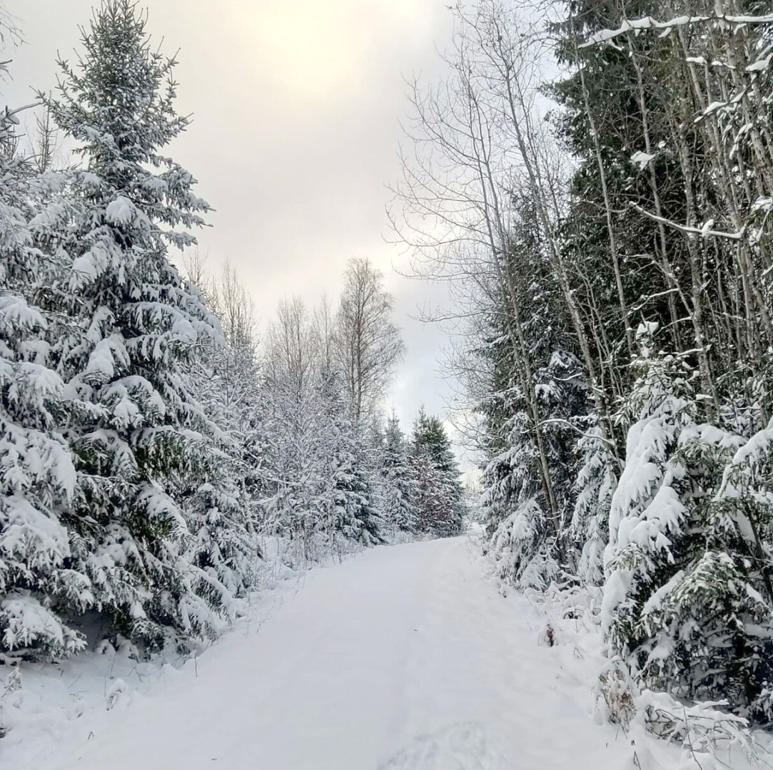 Schnee in Ostfriesland (Leserfotos, Teil 2) - Bild 72