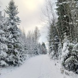 Schnee in Ostfriesland (Leserfotos, Teil 2) - Bild 72