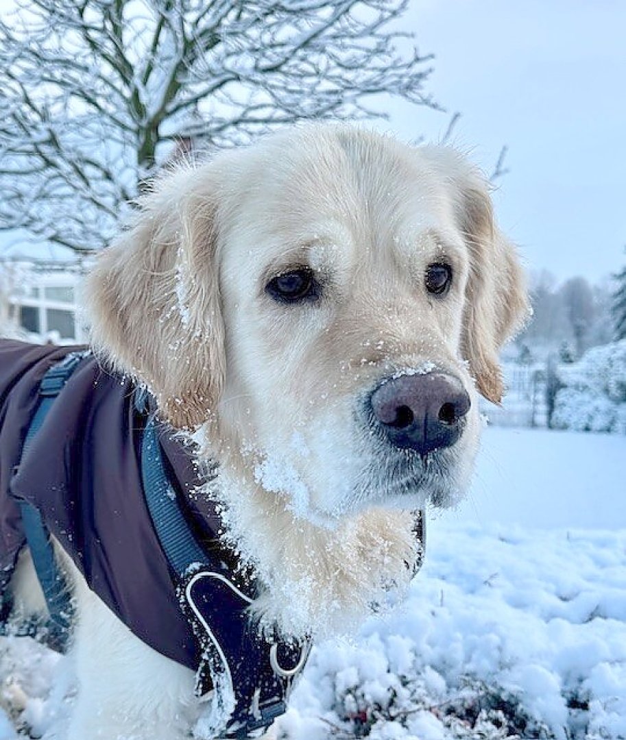 Schnee in Ostfriesland (Leserfotos, Teil 2) - Bild 86