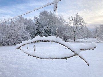 Schnee in Ostfriesland (Leserfotos, Teil 3) - Bild 5