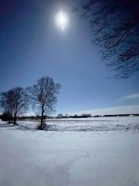 Schnee in Ostfriesland (Leserfotos, Teil 3) - Bild 16