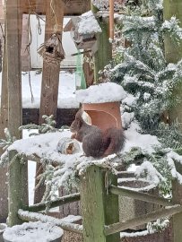 Schnee in Ostfriesland (Leserfotos, Teil 3) - Bild 64