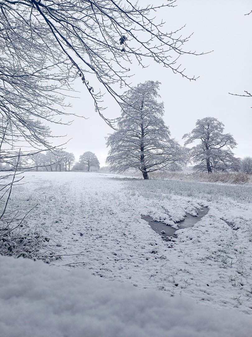 Schnee in Ostfriesland (Leserfotos, Teil 3) - Bild 11