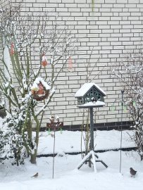 Schnee in Ostfriesland (Leserfotos, Teil 3) - Bild 67