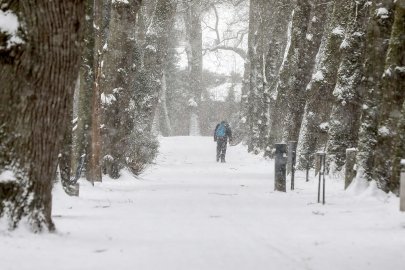 Schneetag in Aurich - Bild 3