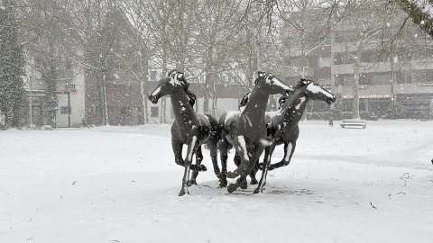 Schneetag in Aurich - Bild 13