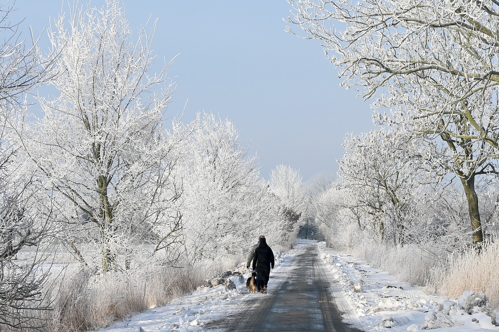 Winterliche Krummhörn - Bild 1