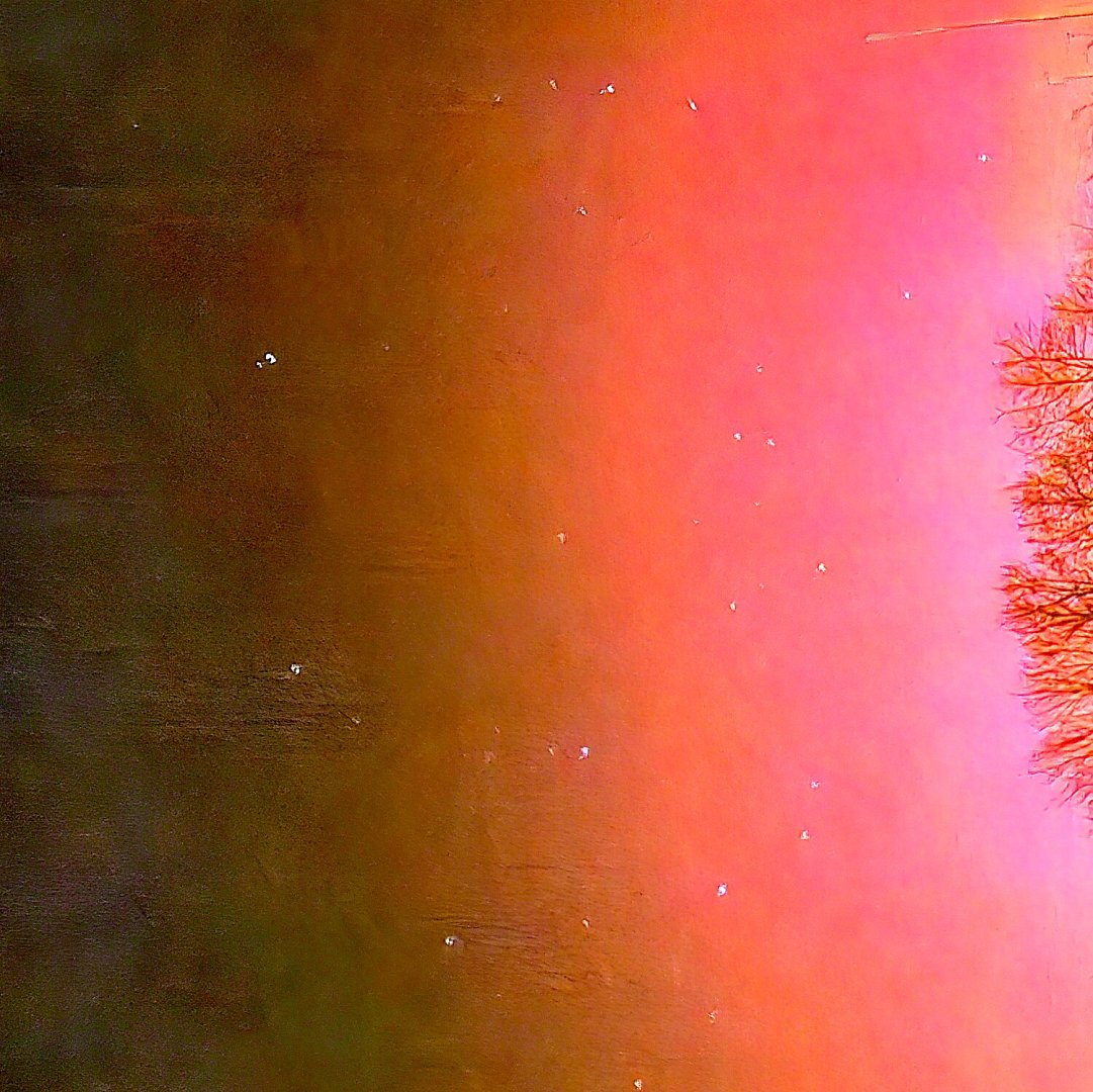 Polarlichter am Himmel über Ostfriesland - Bild 16