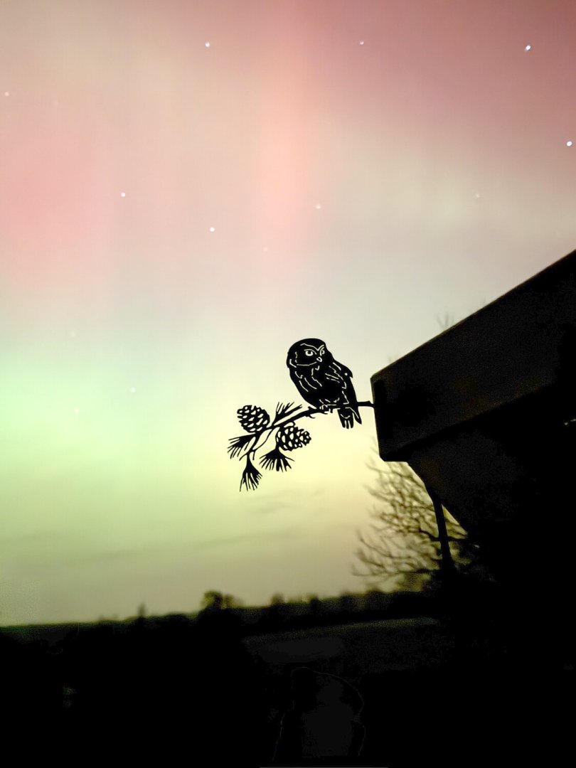 Polarlichter am Himmel über Ostfriesland  - Bild 10