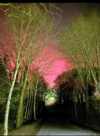 Polarlichter am Himmel über Ostfriesland  - Bild 11