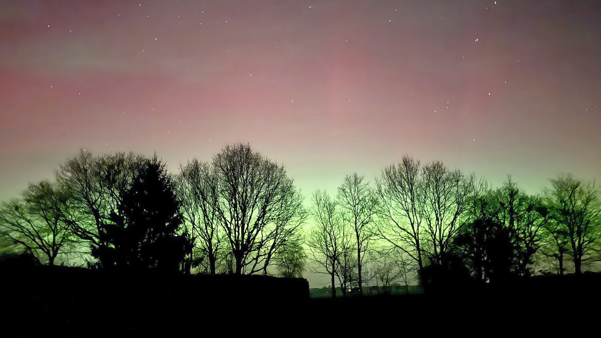 Polarlichter am Himmel über Ostfriesland  - Bild 3
