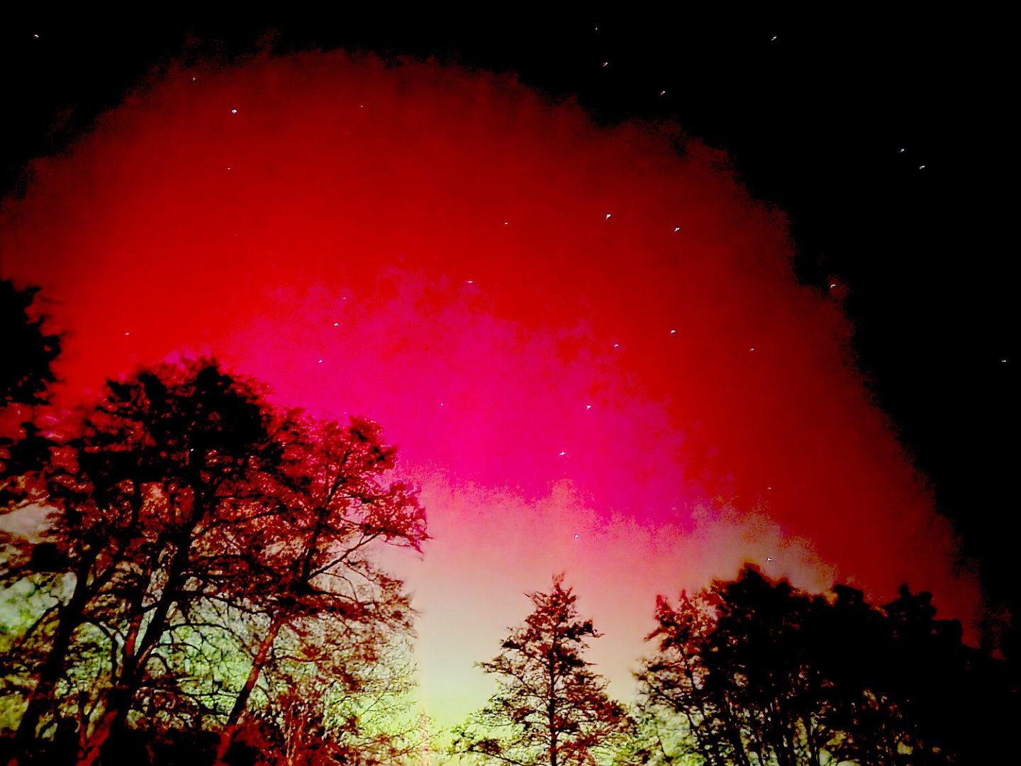 Polarlichter am Himmel über Ostfriesland  - Bild 25