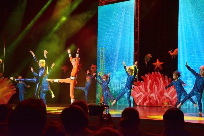 Ballett-Show in Leer - Bild 4