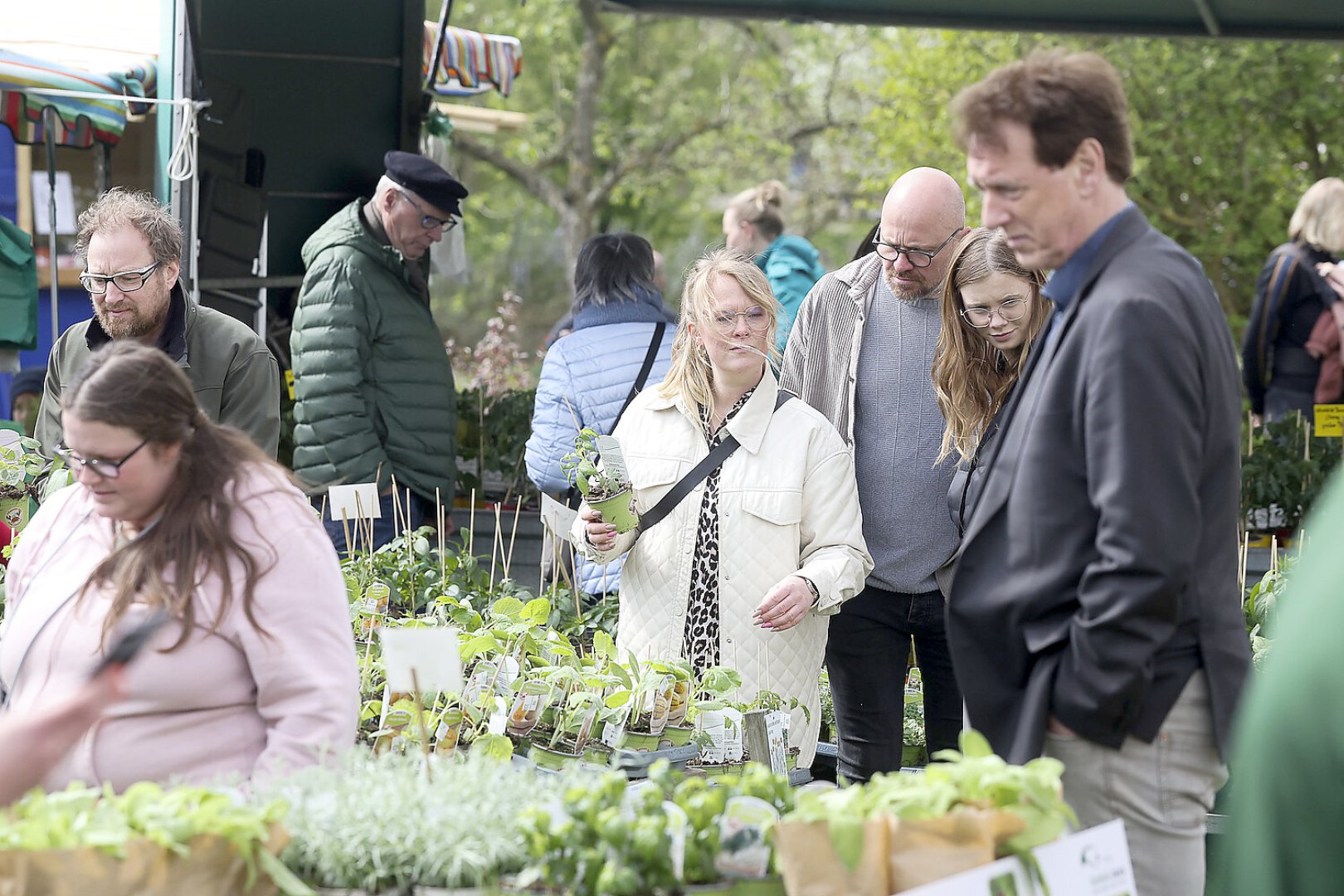 Pflanzenbörse im Ökowerk Emden - Bild 1