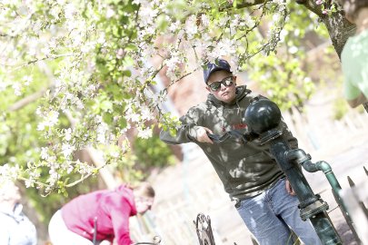 Pflanzenbörse im Ökowerk Emden - Bild 2
