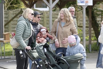 Pflanzenbörse im Ökowerk Emden - Bild 3