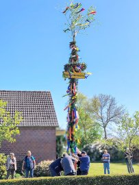 Maibäume – das sind die Bilder aus Ostfriesland - Bild 15