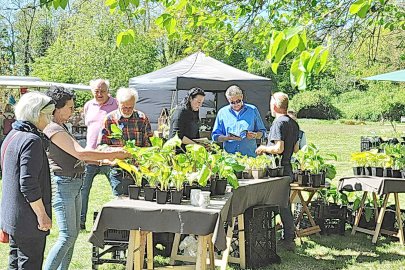Bilder vom Staudenmarkt in Pagels' Garten in Leer - Bild 3