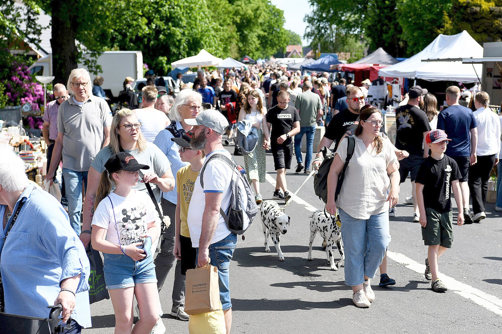 Schwerinsdorf erlebt Rekordandrang am Riesenflohmarkt - Bild 1